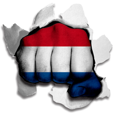 Fist Netherlands Flag Logo heat sticker