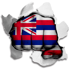 Fist Hawaii State Flag Logo custom vinyl decal