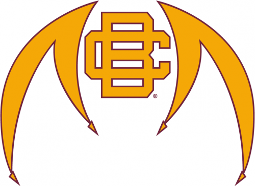Bethune-Cookman Wildcats 2010-2015 Alternate Logo 01 heat sticker