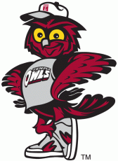 Temple Owls 1996-Pres Mascot Logo heat sticker