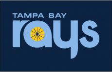 Tampa Bay Rays 2012-2018 Jersey Logo custom vinyl decal