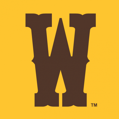 Wyoming Cowboys 2013-Pres Secondary Logo 01 heat sticker