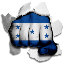 Fist Honduras Flag Logo heat sticker