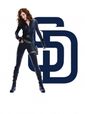 San Diego Padres Black Widow Logo custom vinyl decal