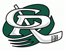 Cedar Rapids RoughRiders 1999 00-2011 12 Alternate Logo custom vinyl decal