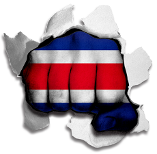Fist Costa Rica Flag Logo heat sticker