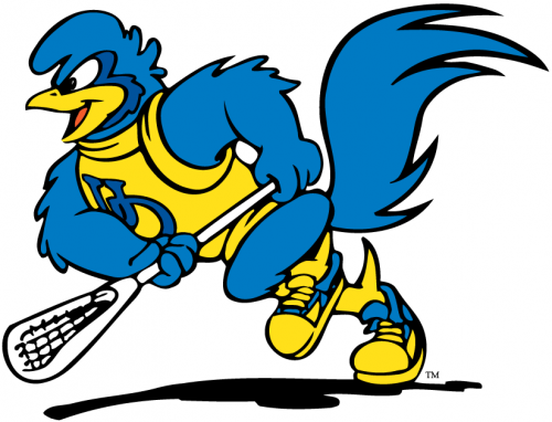 Delaware Blue Hens 1999-Pres Mascot Logo 09 heat sticker