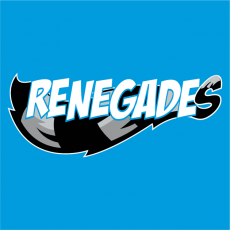 Hudson Valley Renegades 2013-Pres Cap Logo heat sticker
