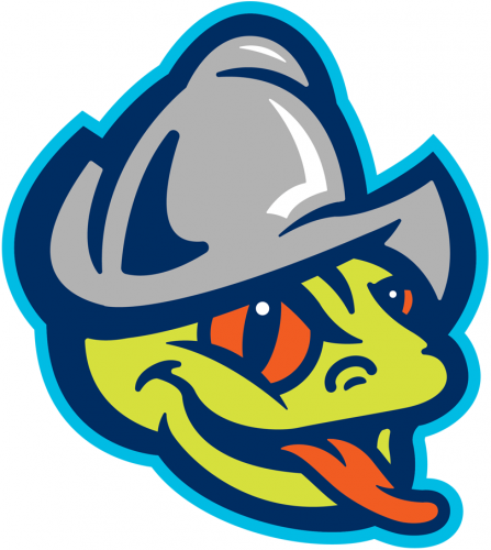 Everett AquaSox 2018 Special Event Logo heat sticker