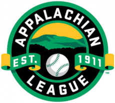 Appalachian League 2016-Pres Primary Logo heat sticker