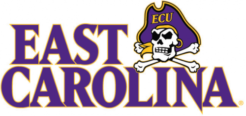 East Carolina Pirates 2014-Pres Wordmark Logo 04 heat sticker