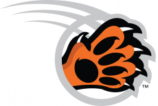 RIT Tigers 2004-Pres Alternate Logo 01 heat sticker