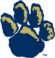 Pittsburgh Panthers 1997-2018 Alternate Logo custom vinyl decal