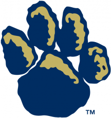 Pittsburgh Panthers 1997-2018 Alternate Logo heat sticker