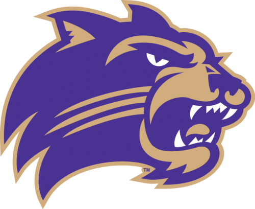 Western Carolina Catamounts 2008-Pres Primary Logo heat sticker