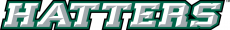 Stetson Hatters 2008-2017 Wordmark Logo custom vinyl decal