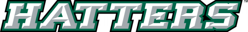 Stetson Hatters 2008-2017 Wordmark Logo heat sticker