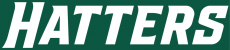Stetson Hatters 2018-Pres Wordmark Logo heat sticker