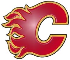 Calgary Flames Plastic Effect Logo custom vinyl decal