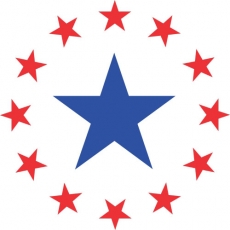 USA Logo 13 custom vinyl decal