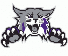 Weber State Wildcats 2012-Pres Alternate Logo heat sticker