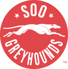 Sault Ste. Marie Greyhounds 1972 73-1994 95 Primary Logo heat sticker