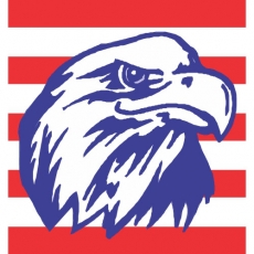 USA Logo 01 custom vinyl decal