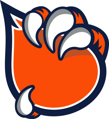 Bakersfield Condors 2018-Pres Secondary Logo heat sticker