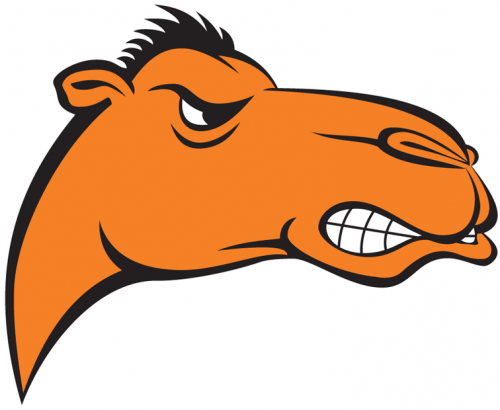 Campbell Fighting Camels 2005-2007 Alternate Logo custom vinyl decal