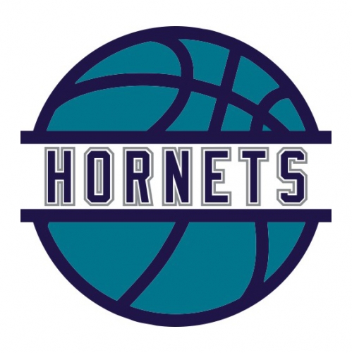 Basketball Charlotte Hornets Logo custom vinyl decal