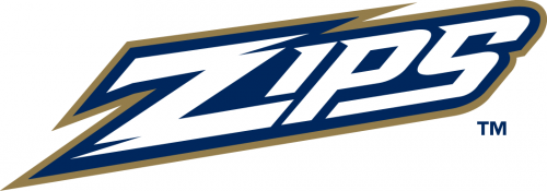 Akron Zips 2002-Pres Wordmark Logo 02 custom vinyl decal