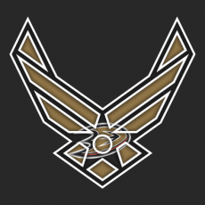 Airforce Anaheim Ducks Logo heat sticker