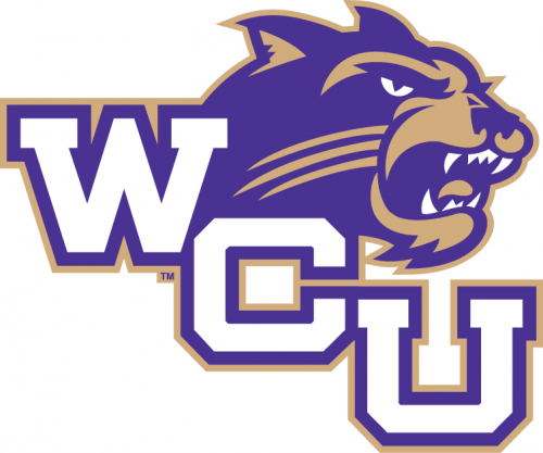 Western Carolina Catamounts 1996-2007 Alternate Logo 08 heat sticker