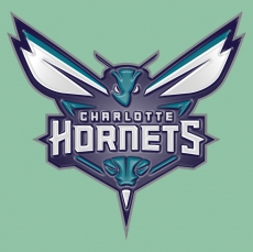 Charlotte Hornets Plastic Effect Logo heat sticker