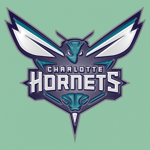 Charlotte Hornets Plastic Effect Logo custom vinyl decal