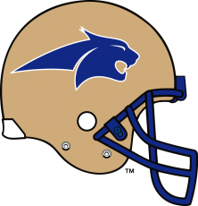 Montana State Bobcats 1997-2003 Helmet custom vinyl decal