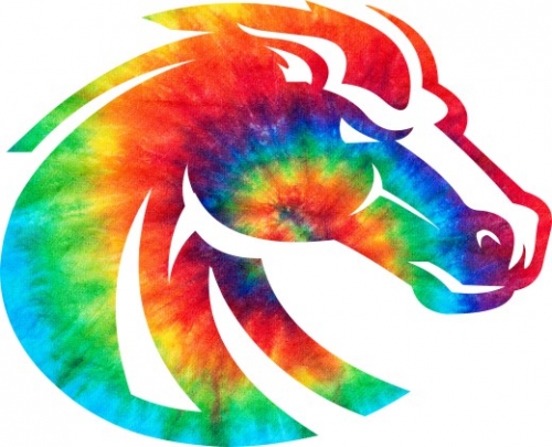 Denver Broncos rainbow spiral tie-dye logo heat sticker