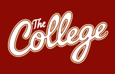College of Charleston Cougars 2013-Pres Wordmark Logo 06 custom vinyl decal