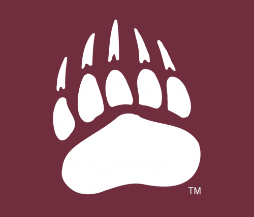 Montana Grizzlies 1996-Pres Alternate Logo 06 heat sticker