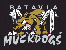 Batavia Muckdogs 1998-Pres Cap Logo 2 heat sticker