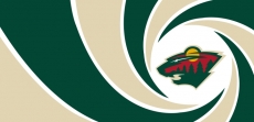 007 Minnesota Wild logo heat sticker