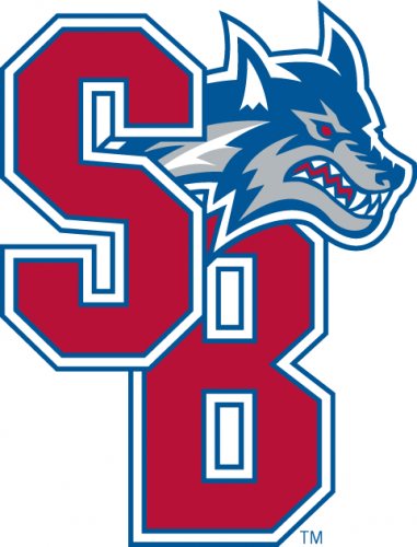 Stony Brook Seawolves 2008-Pres Secondary Logo custom vinyl decal