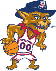 Arizona Wildcats 2003-2012 Mascot Logo 06 heat sticker