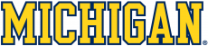 Michigan Wolverines 1996-Pres Wordmark Logo 08 custom vinyl decal