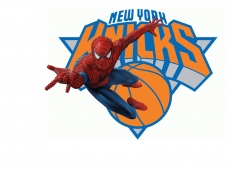 New York Knicks Spider Man Logo heat sticker