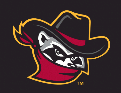 Quad Cities River Bandits 2008-2013 Cap Logo heat sticker