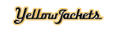 AIC Yellow Jackets 2009-Pres Wordmark Logo 36 inches custom vinyl decal