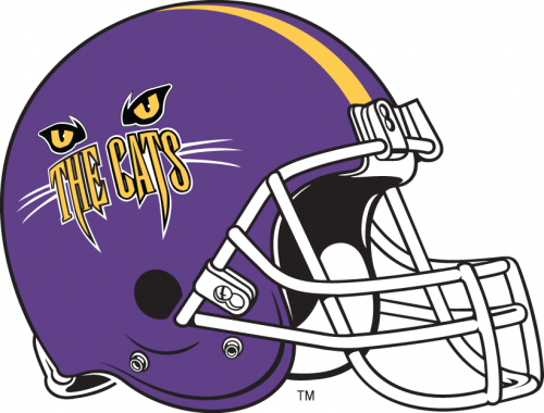 Western Carolina Catamounts 1996-2007 Helmet Logo heat sticker