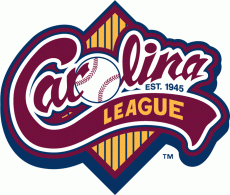 Carolina League 1995-Pres Primary Logo heat sticker