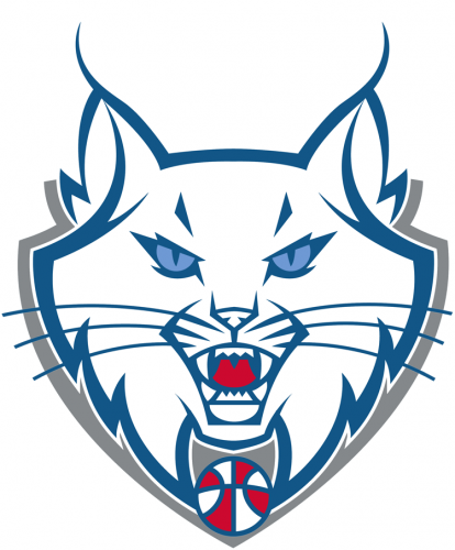 Minnesota Lynx 2011-2017 Alternate Logo heat sticker